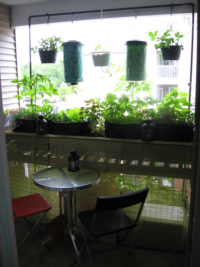 zielony balkon z pionowymi donicami